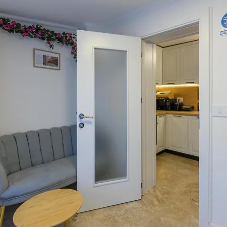 Apartment Five Stars Timisoara