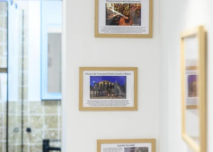 Five Stars * ティミショアラ